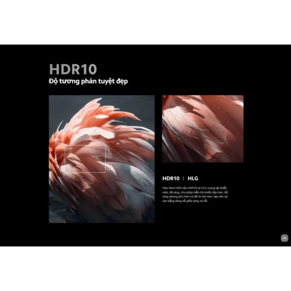 Xiaomi TV A 55 2025 Series (Giá đã bao gồm thuế giá trị gia tăng và gói dịch vụ 2 năm bảo hành) - Hình ảnh 5