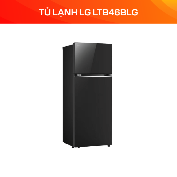 Tủ lạnh LG Inverter 461 lít LTB46BLG - Ảnh 3