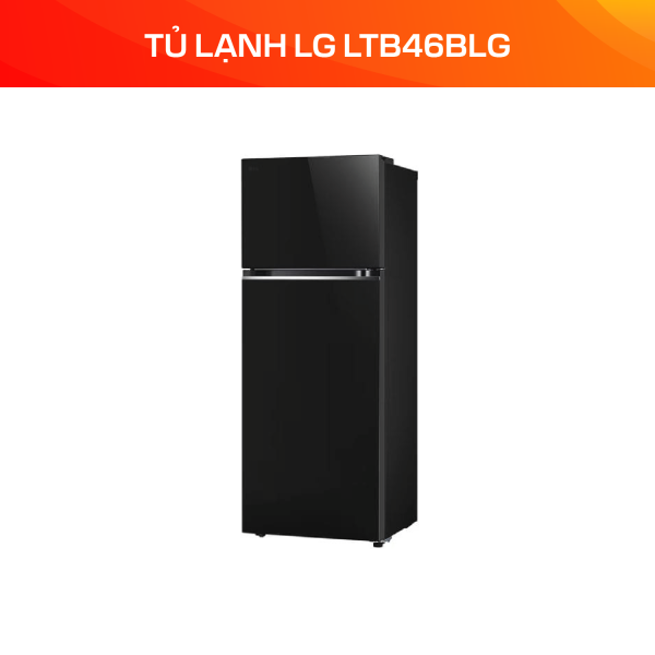 Tủ lạnh LG Inverter 461 lít LTB46BLG - Ảnh 4