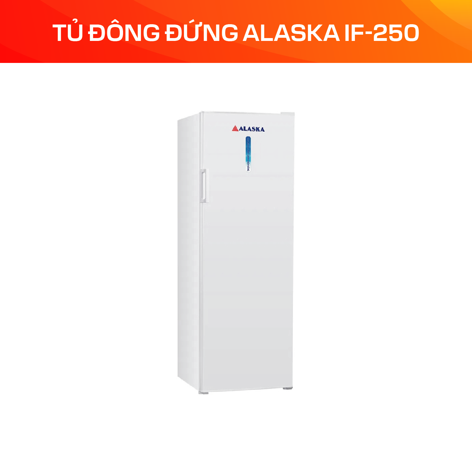 Tủ Đông Đứng Alaska 250 Lít IF-250 - Ảnh 4