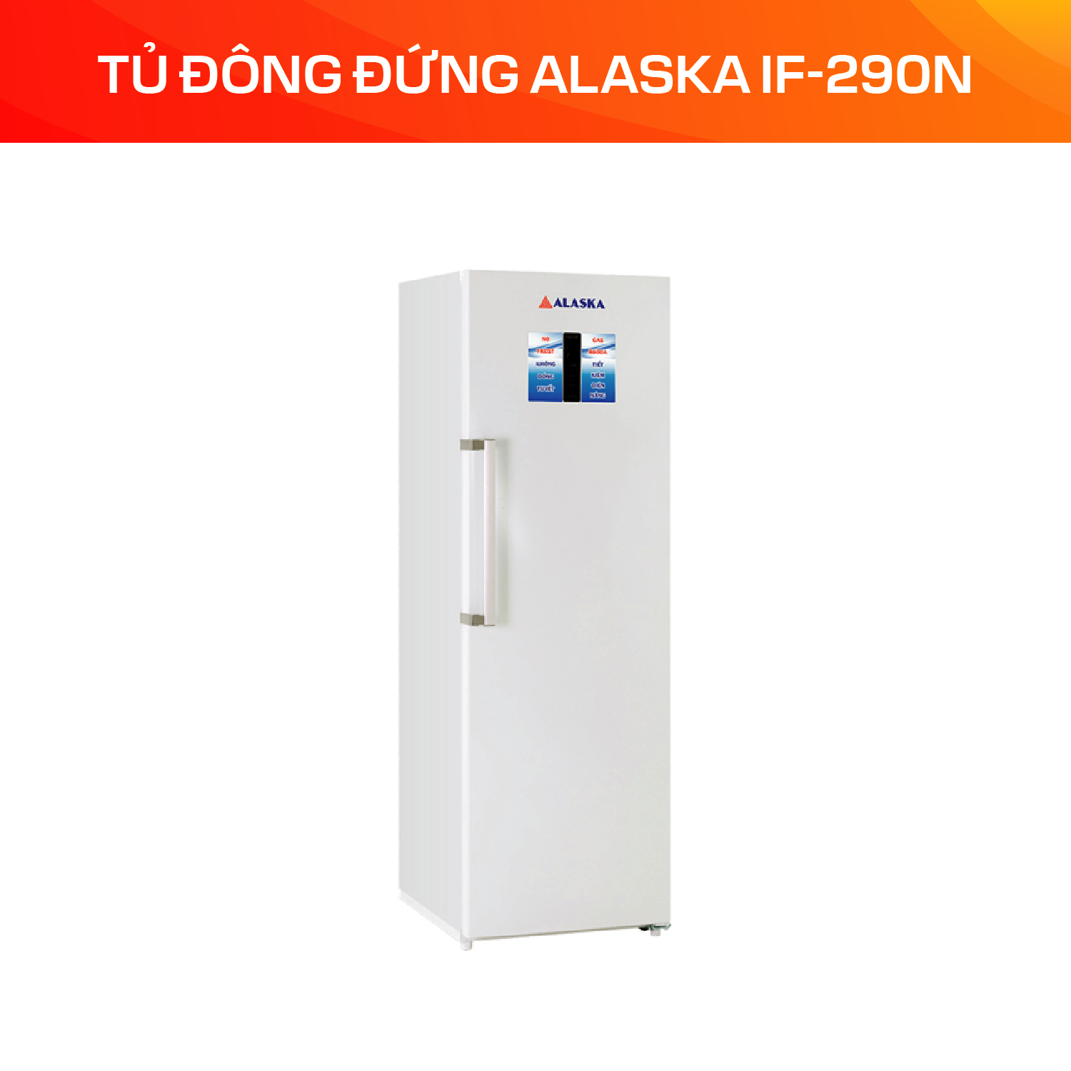 Tủ Đông Đứng Alaska 290 Lít IF-290N - Ảnh 3