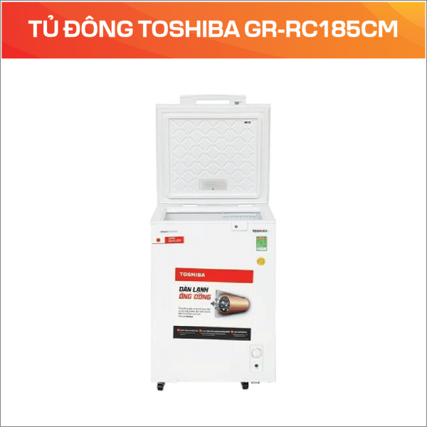 TỦ ĐÔNG TOSHIBA GR-RC185CM - Ảnh 3