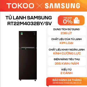 TỦ LẠNH SAMSUNG RT22M4032BY/SV